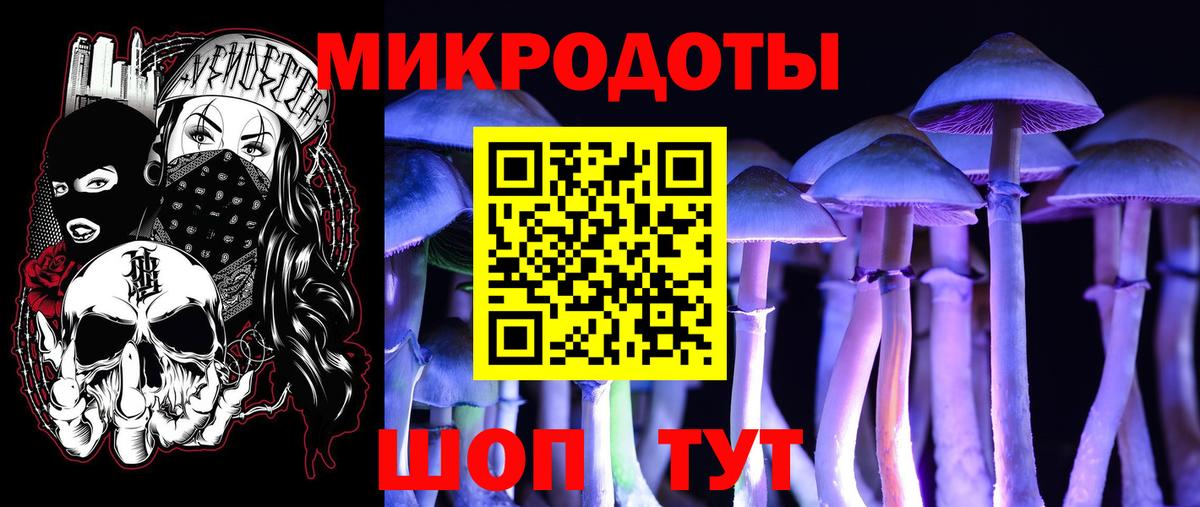 Галлюциногенные грибы ЛСД Ефремов