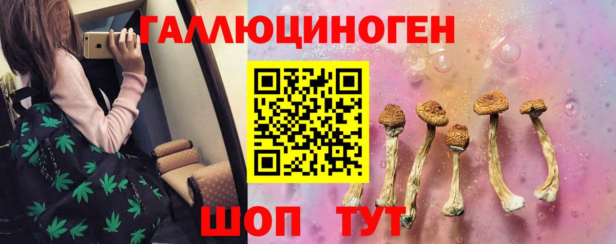 как найти закладки  Псилоцибиновые грибы Magic Shrooms  Псилоцибиновые грибы MAGIC MUSHROOMS  Вход с VPN  Ефремов 